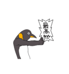 超高速ペンギン（個別スタンプ：1）