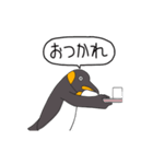 超高速ペンギン（個別スタンプ：11）