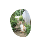 にゃ〜とも言い難きこの世に目をつむる猫（個別スタンプ：3）