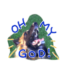 Belgian Tervuren（個別スタンプ：6）