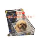 ぷぅすけくん（個別スタンプ：10）