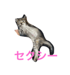 ショコラの毎日（個別スタンプ：4）