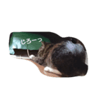 2匹の1日（個別スタンプ：7）