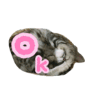 猫スタ2(ねこのすたんぷ2）（個別スタンプ：2）