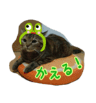 猫スタ2(ねこのすたんぷ2）（個別スタンプ：7）