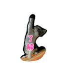 猫スタ2(ねこのすたんぷ2）（個別スタンプ：9）
