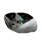 猫スタ2(ねこのすたんぷ2）（個別スタンプ：14）