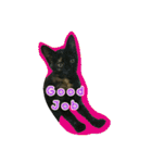 猫スタ2(ねこのすたんぷ2）（個別スタンプ：16）