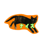 猫スタ2(ねこのすたんぷ2）（個別スタンプ：20）