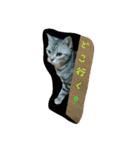 猫スタ2(ねこのすたんぷ2）（個別スタンプ：24）