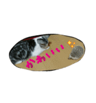 猫スタ2(ねこのすたんぷ2）（個別スタンプ：30）