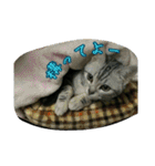 猫スタ2(ねこのすたんぷ2）（個別スタンプ：34）