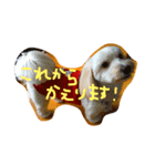 Moutoku＆May（個別スタンプ：2）