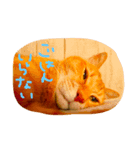 Moutoku＆May（個別スタンプ：3）