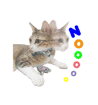 POLI Cat -Daily（個別スタンプ：3）