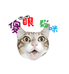 POLI Cat -Daily（個別スタンプ：24）