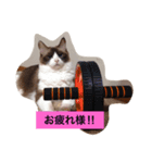 あんじ（個別スタンプ：2）