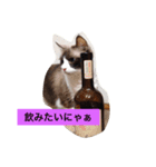あんじ（個別スタンプ：4）