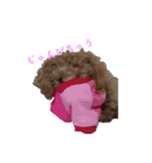 マルプー（くぅ）（個別スタンプ：30）