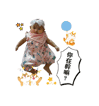 YangGirl（個別スタンプ：23）