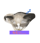 あおとそら（個別スタンプ：1）