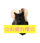 あおとそら（個別スタンプ：4）
