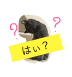 あおとそら（個別スタンプ：5）