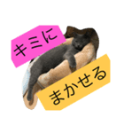 あおとそら（個別スタンプ：7）
