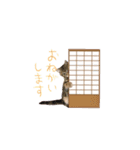らんまる♪ねむちんスタンプ（個別スタンプ：11）