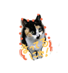 cat-club（個別スタンプ：2）