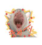 cat-club（個別スタンプ：3）
