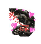 cat-club（個別スタンプ：21）
