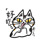 WJ ＆ FIFI NEKO PART.2（個別スタンプ：16）
