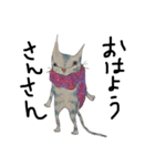 nyancorporation（個別スタンプ：1）
