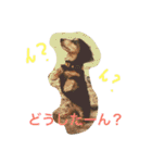 犬6匹のスタンプ（個別スタンプ：3）