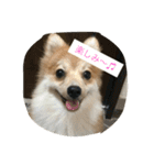 たろうのすたんぷ（個別スタンプ：8）