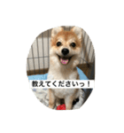 たろうのすたんぷ（個別スタンプ：11）