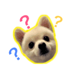 くらたぽてちくん（個別スタンプ：1）