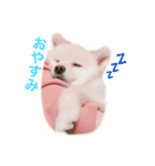 くらたぽてちくん（個別スタンプ：2）