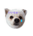 くらたぽてちくん（個別スタンプ：5）