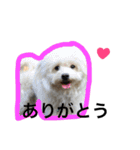 もちまる。時々てんとひめ。（個別スタンプ：2）