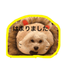 もちまる。時々てんとひめ。（個別スタンプ：10）