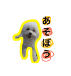 もちまる。時々てんとひめ。（個別スタンプ：13）