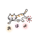 やさしい ねこ（個別スタンプ：1）