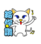 Blue eyes white cat - singing life（個別スタンプ：13）