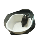 great escape（個別スタンプ：1）