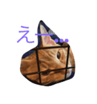 動物たちのリアクション（個別スタンプ：2）