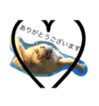 動物たちのリアクション（個別スタンプ：4）