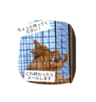 動物たちのリアクション（個別スタンプ：6）