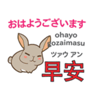 ウサギの毎日 日本語台湾語（個別スタンプ：1）